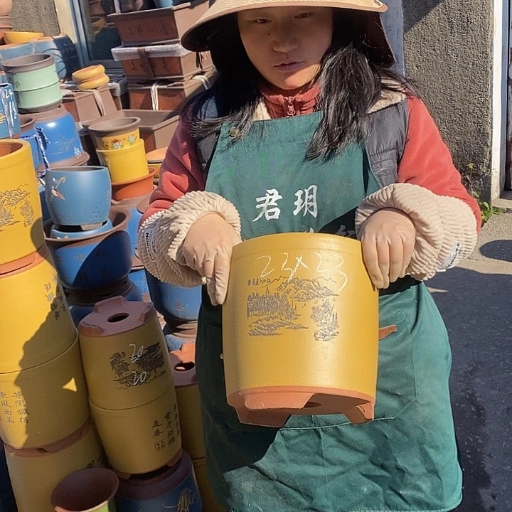 紫砂花盆紫砂花盆