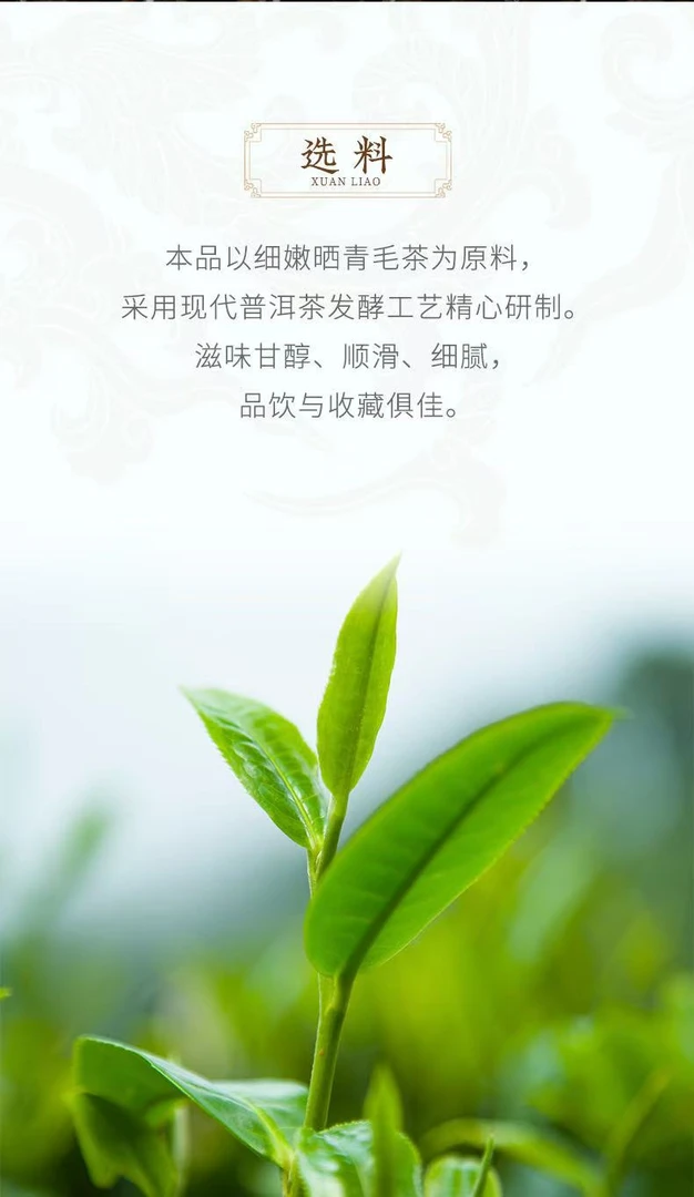 生茶 2003年357克一饼  品牌普洱直播福利专属