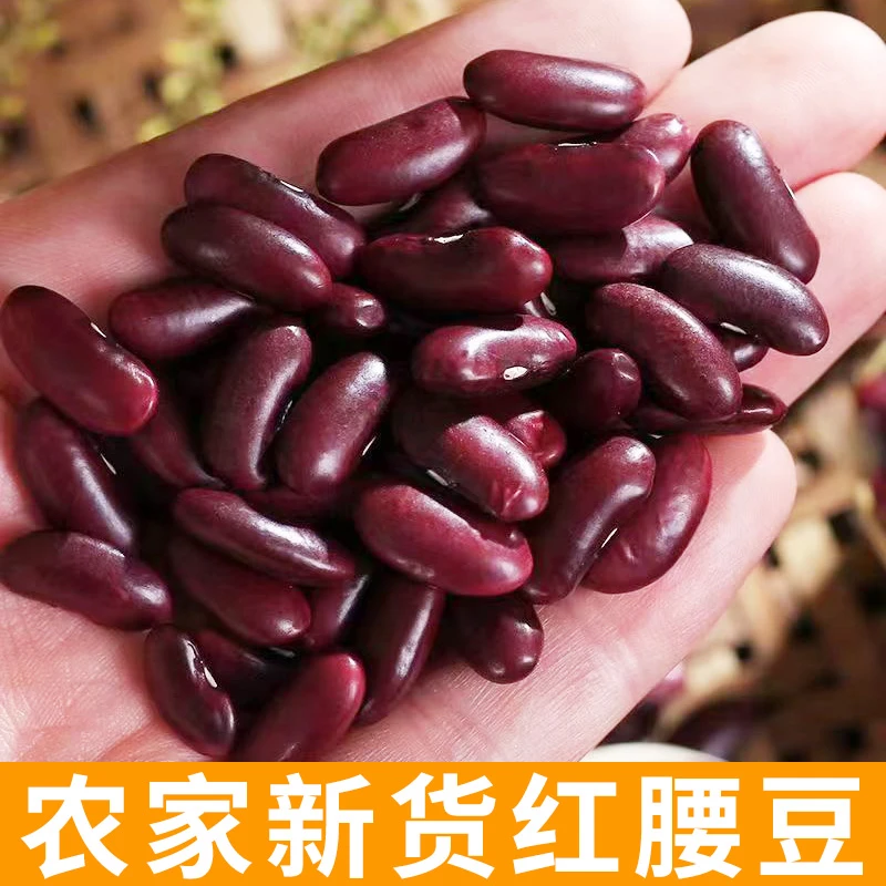红腰豆 农家新货 农家自种大粒红芸豆五谷杂粮大红豆 煮粥煲汤