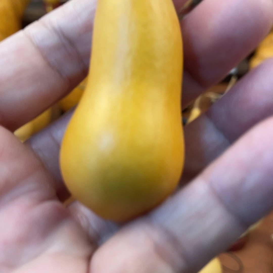 脚***主葫芦哈哈哈哈哈哈哈h