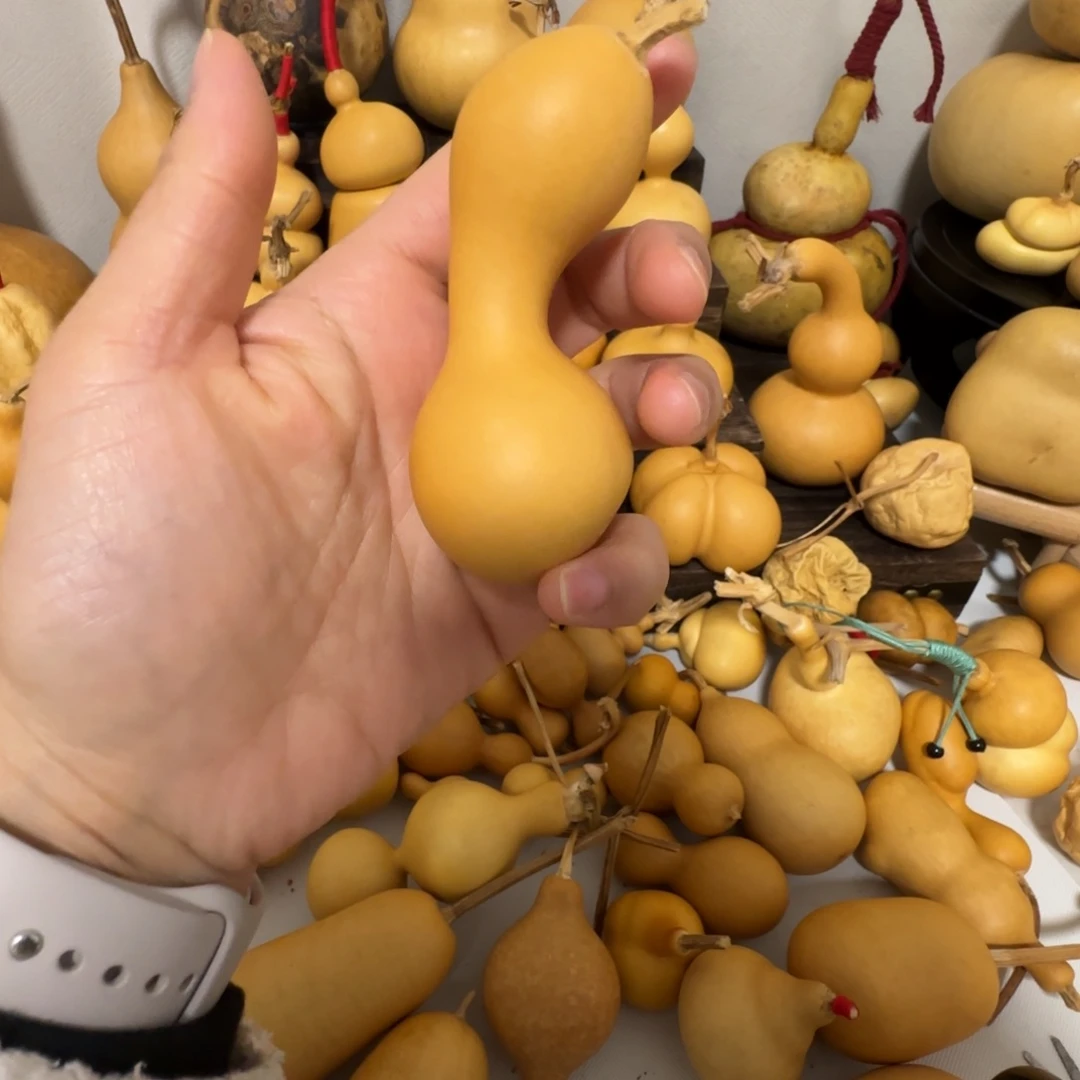 阳****异形葫芦葫芦葫芦