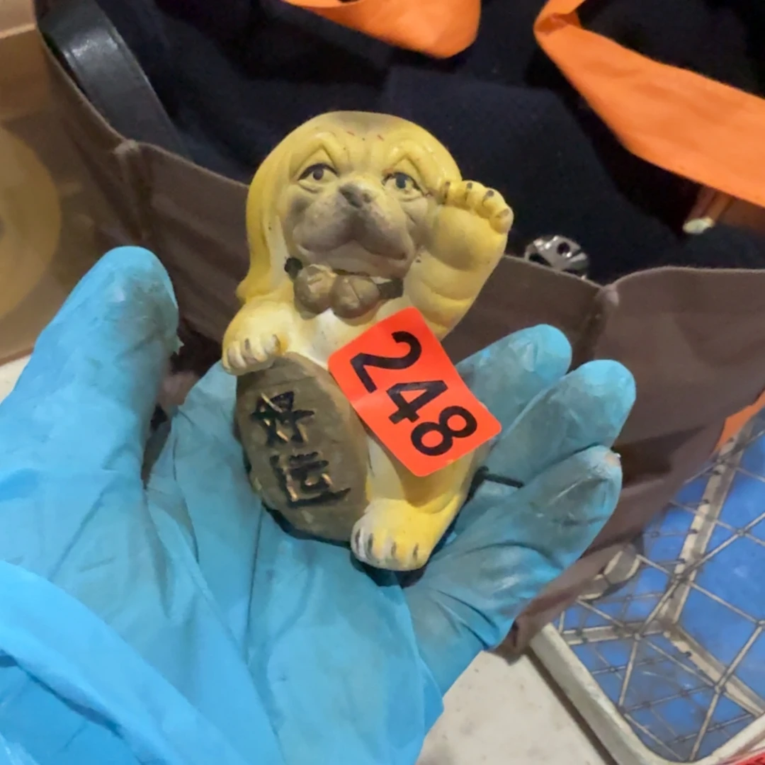 火***焰杂色豆（科檀/科特迪瓦檀木）