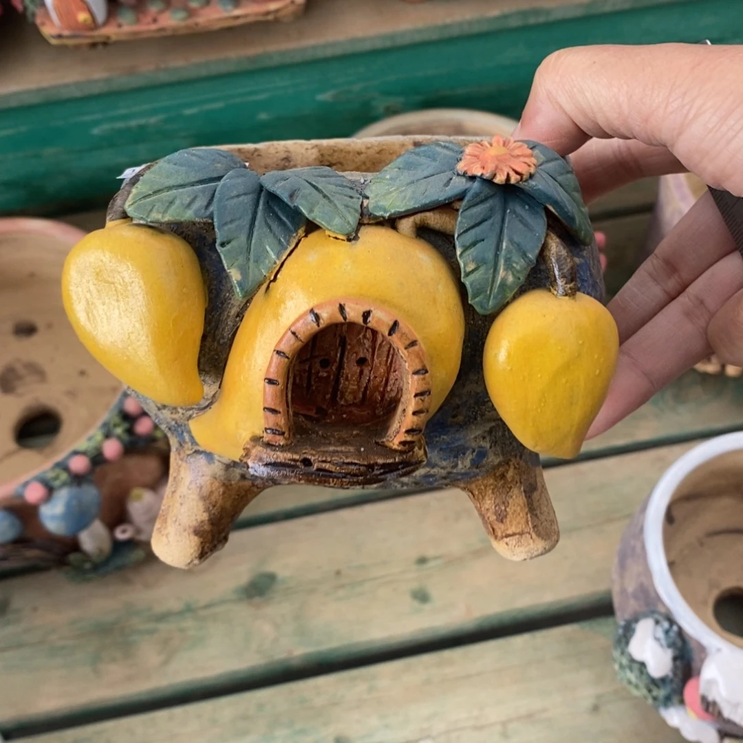 18号多肉盆口径9.5