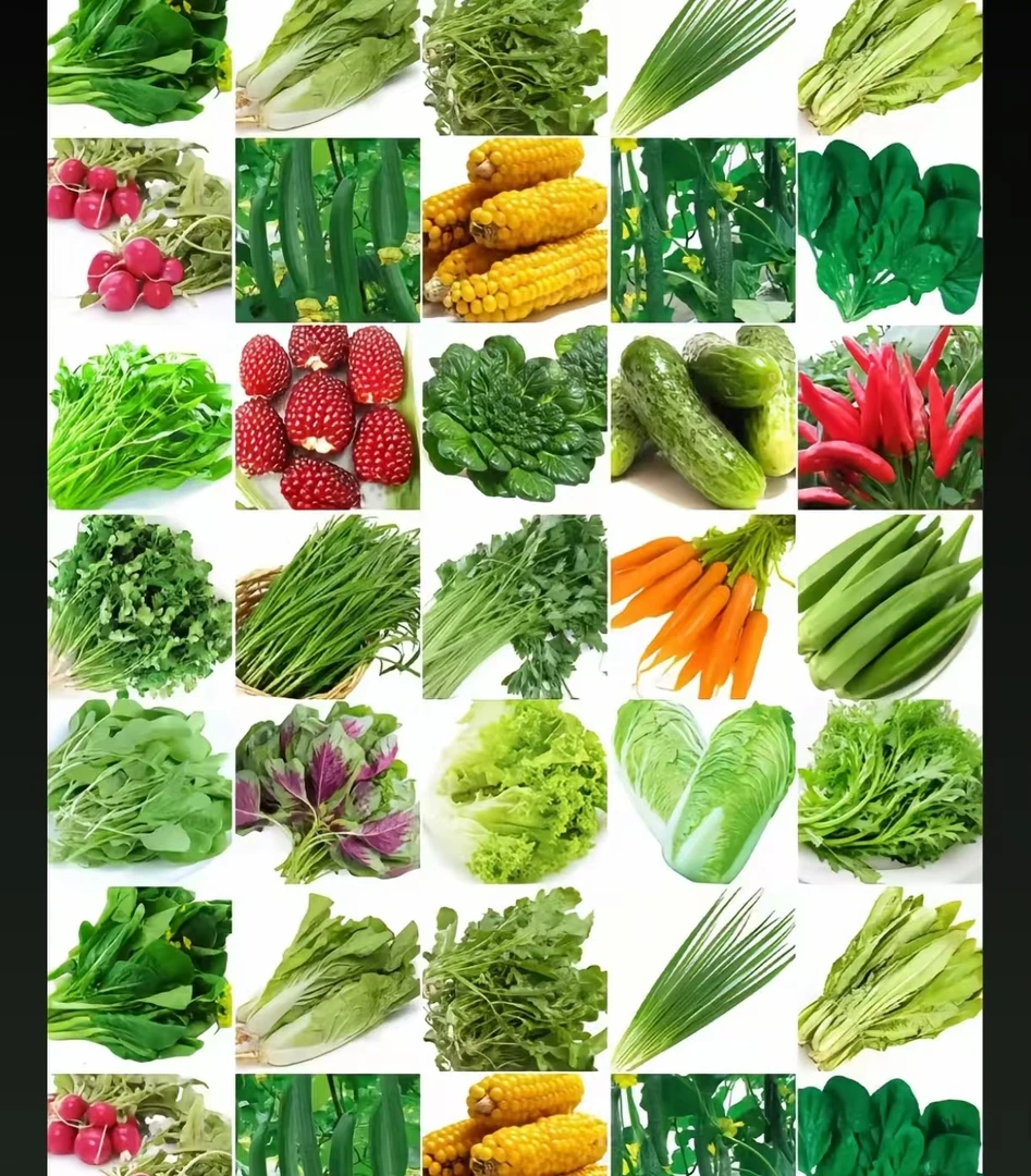 云南现收山货  黑蜂m~ 桃