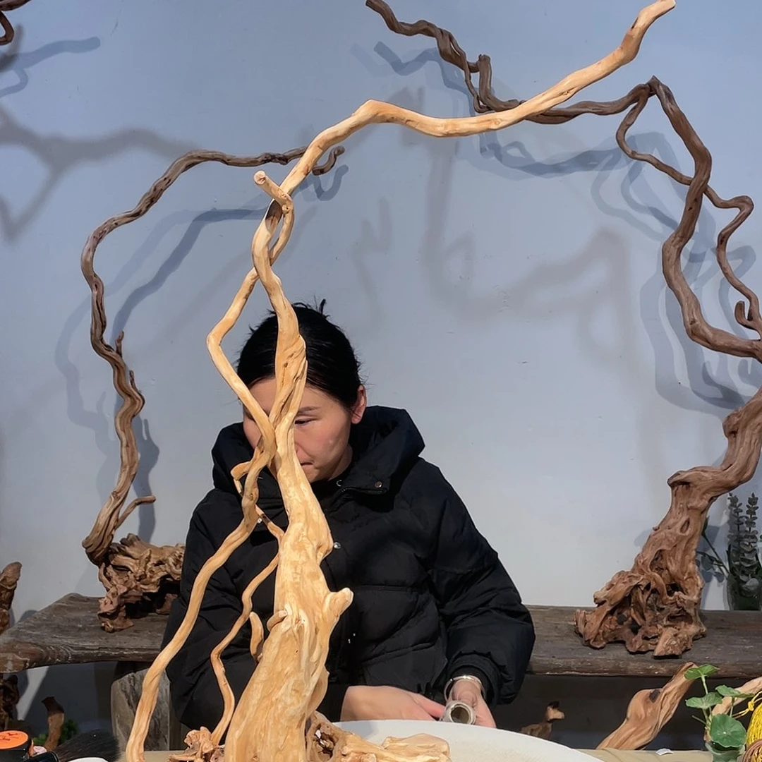 核桃木/黑胡桃（胡桃木）?***粟