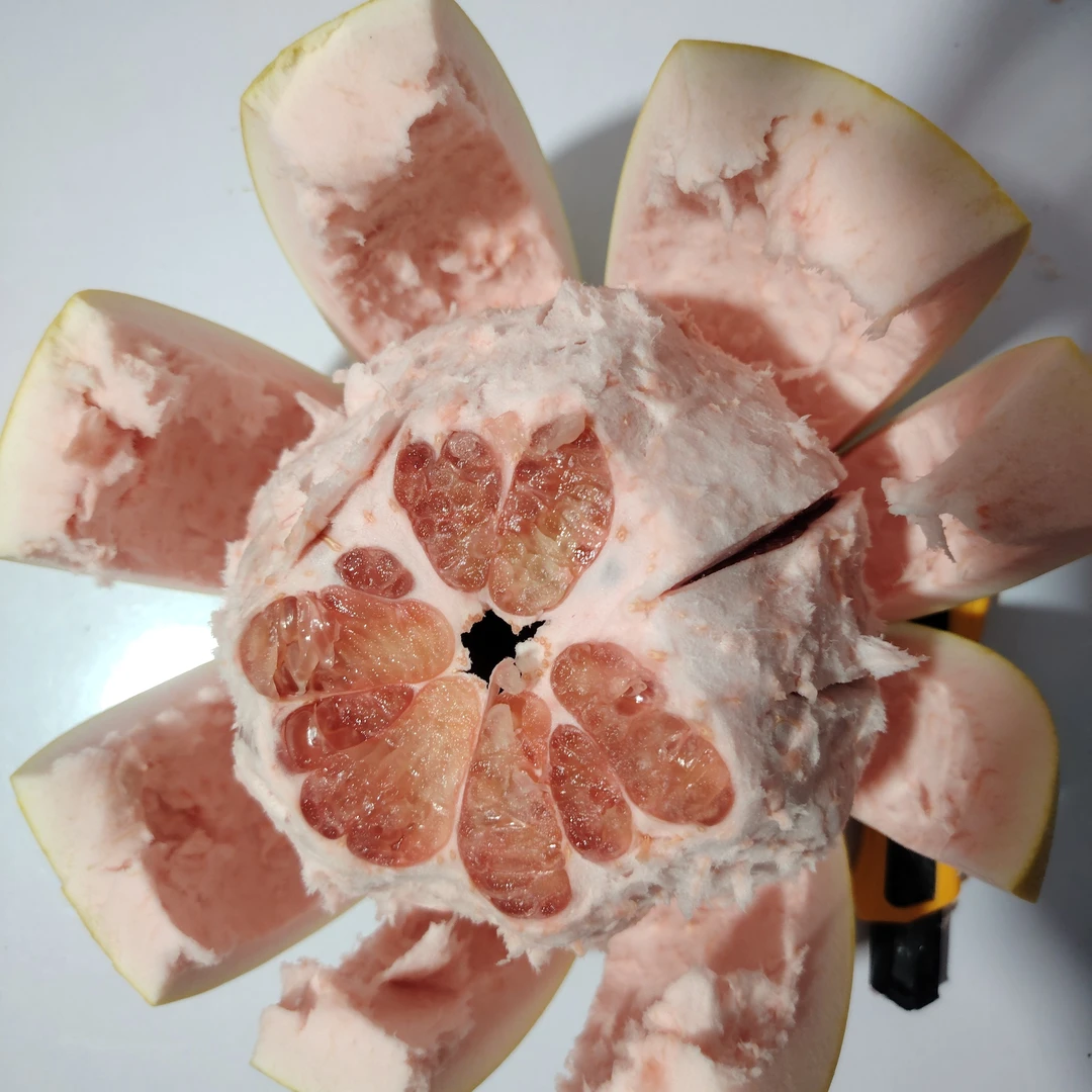 福建平和三红蜜柚新鲜采摘果肉饱满香甜多汁当季水果