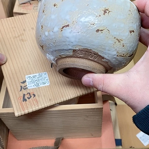 紫砂哈哈哈哈哈哈哈哈