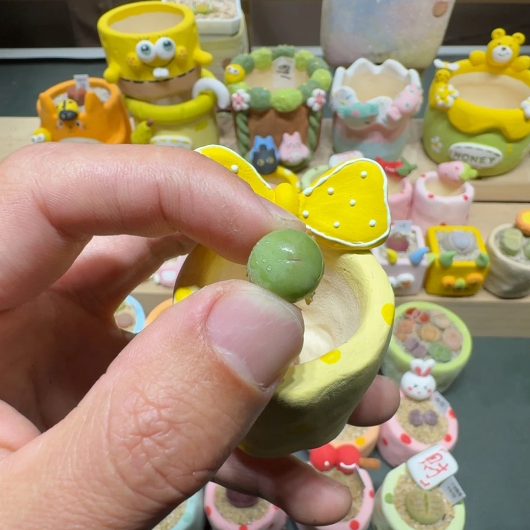 红陶颖*蘑菇736鸽子蛋