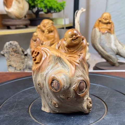 柏木（崖柏）v b b j k k k k k