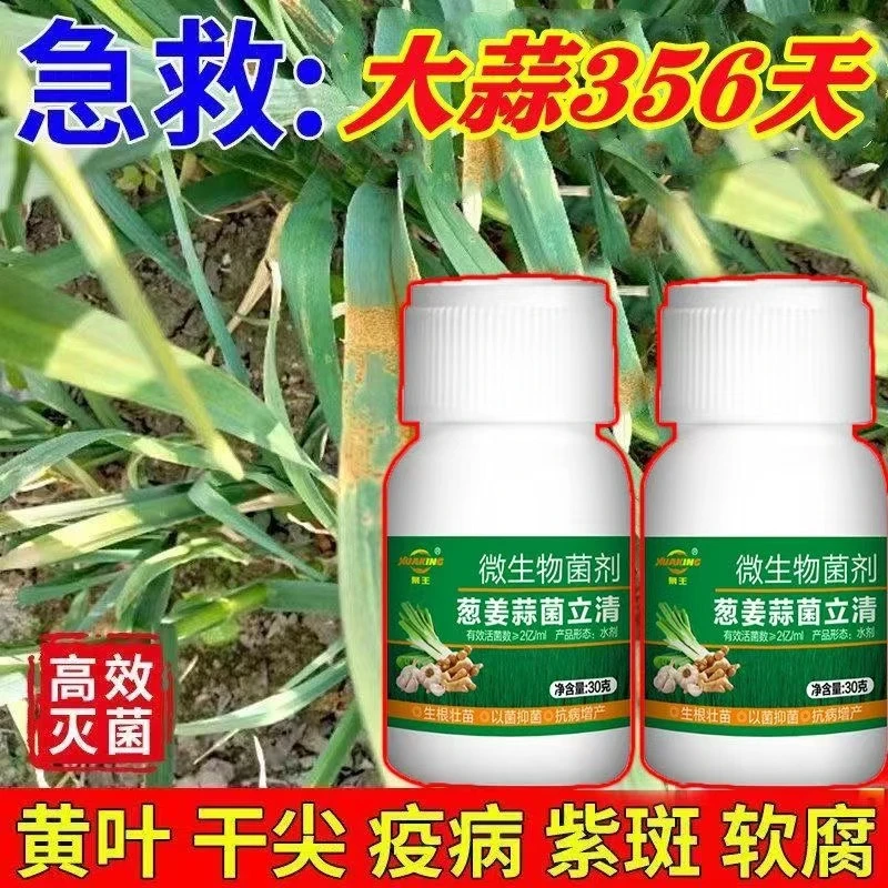 葱姜蒜猛长实用大葱肥料批发有机营有机四季葱肥料批发追肥叶面肥