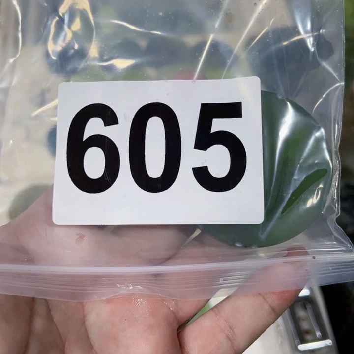 最***崽未镶嵌蛇纹石玉珠宝半成品