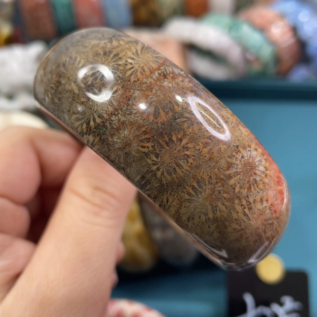 未镶嵌手镯硅化玉