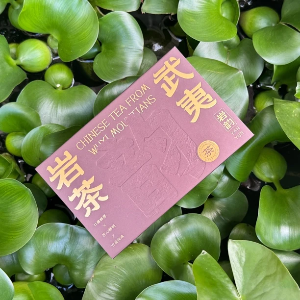 臻茗茶堂 武夷岩茶 大红袍 石乳 品鉴装6泡/盒