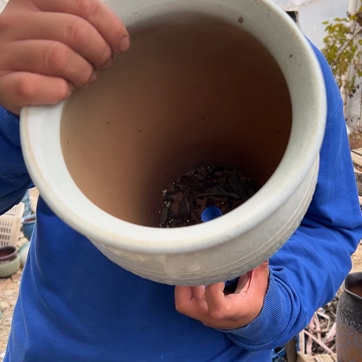 紫砂花盆高度32口径20