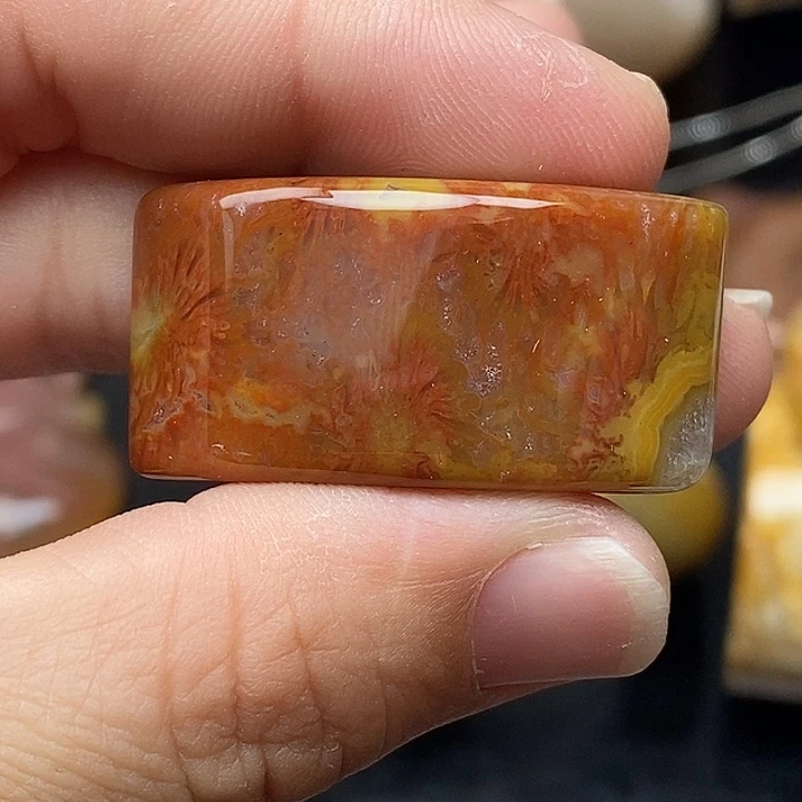 硅化玉未镶嵌颈饰