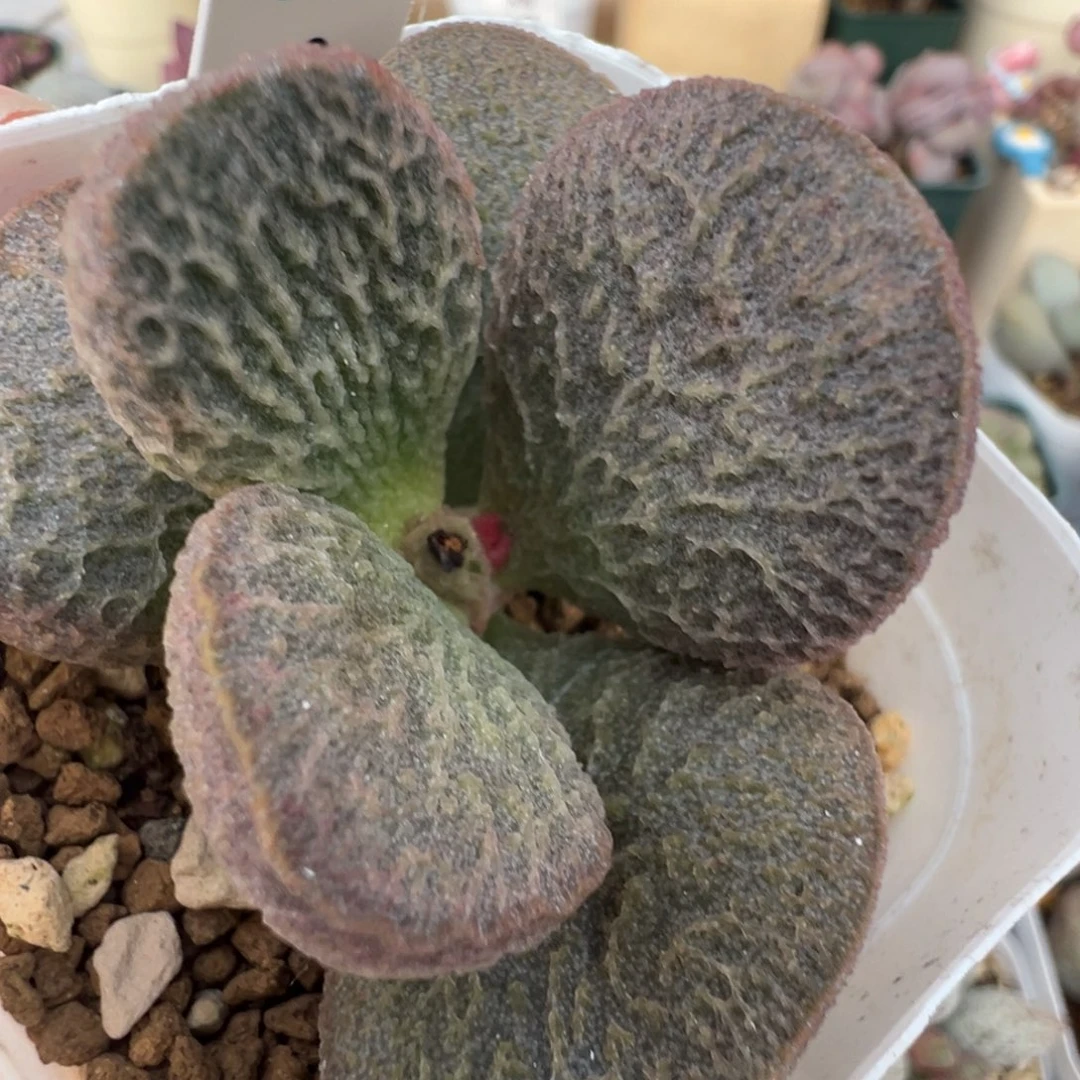 天***天123 号好看的水泡冲冲冲