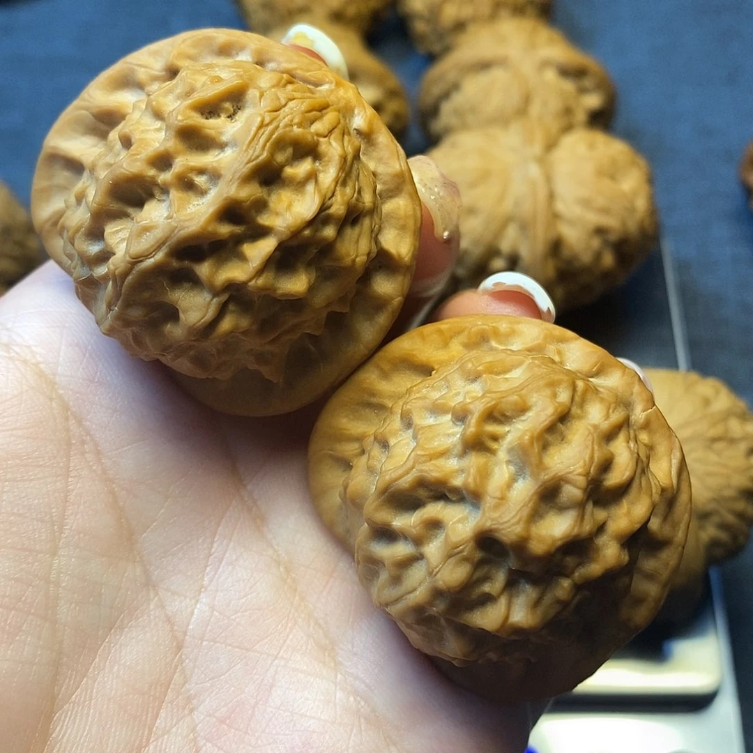 龙脊菩提把件官印