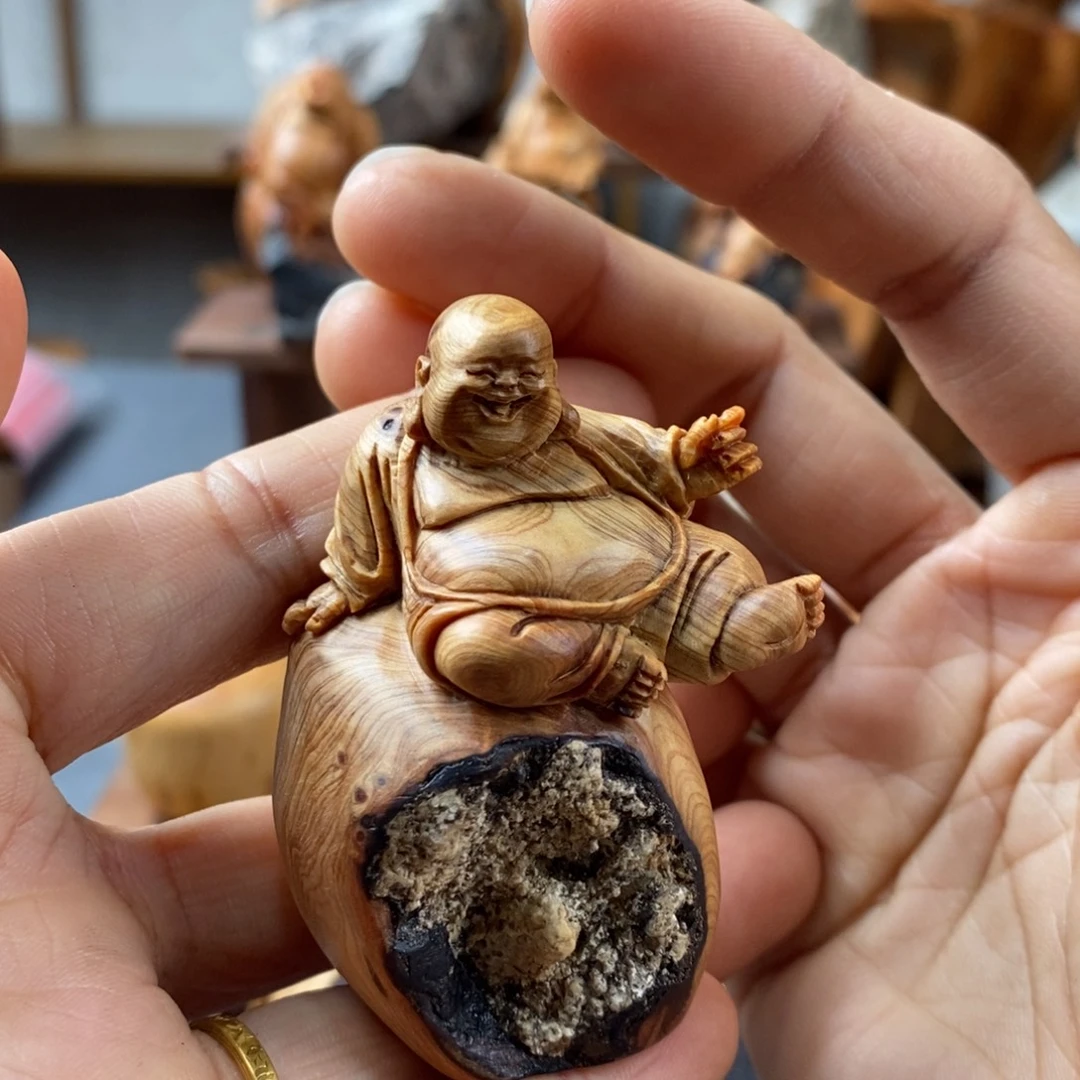 柏木（崖柏）崖柏太行山脉