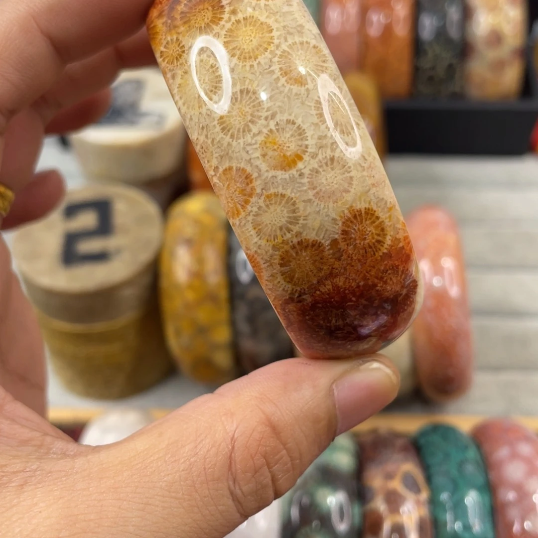未镶嵌手镯硅化玉