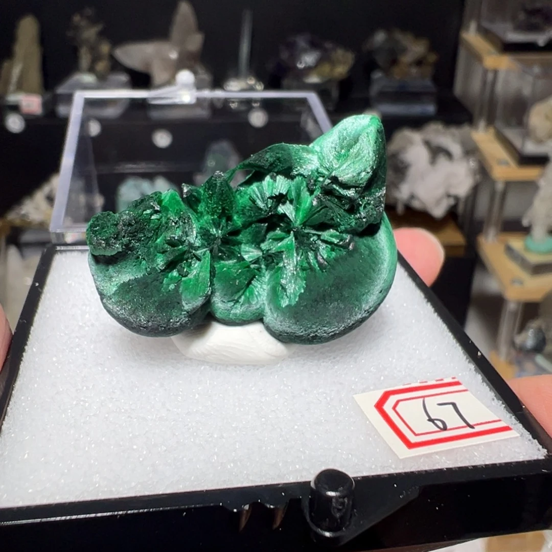 紫晶银S925镶嵌大型摆件（非配饰）