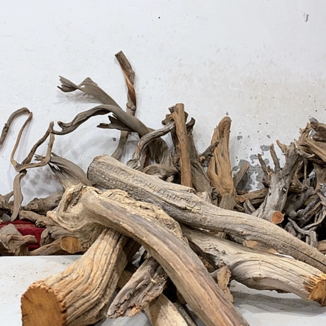 【闪购商品】柏木木*人我们都是好孩子呀