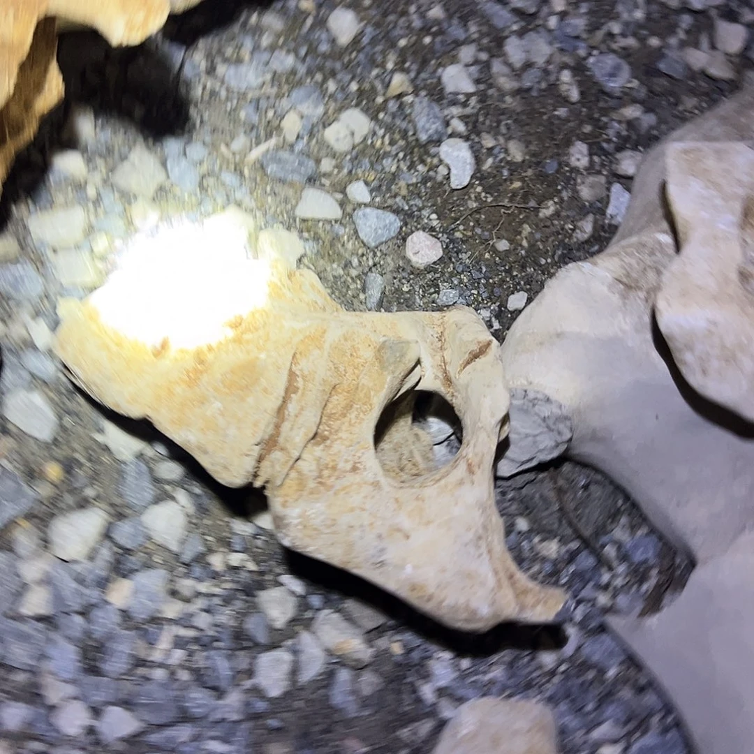 哈哈哈哈哈哈哈哈哈哈