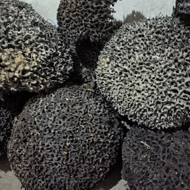 云南中缅边境工艺品黑蚂蚁窝500克