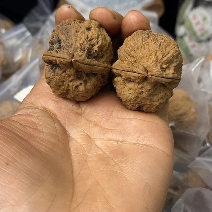 核桃云南铁核桃基地58