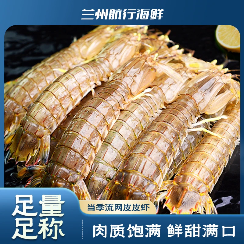 当天缺氧皮皮虾一斤15只左右兰州发货新鲜美味海鲜包新鲜