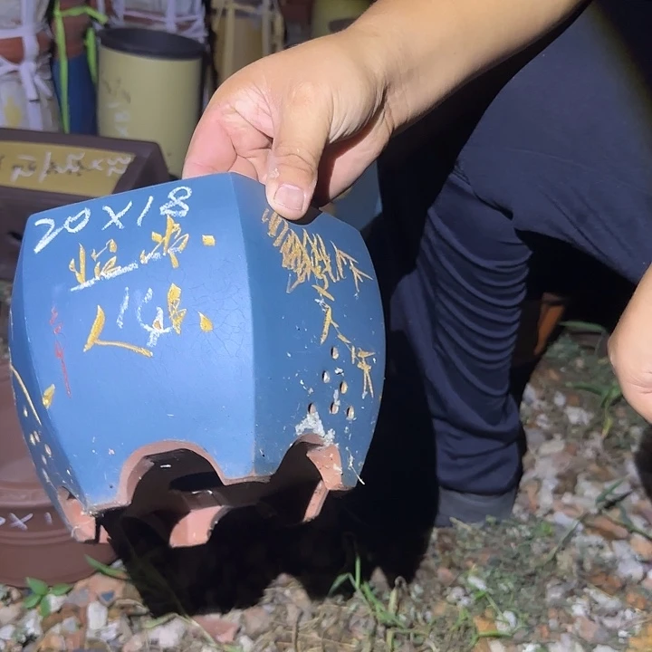 紫砂盆景盆景盆景盆景盆景盆景瑕疵