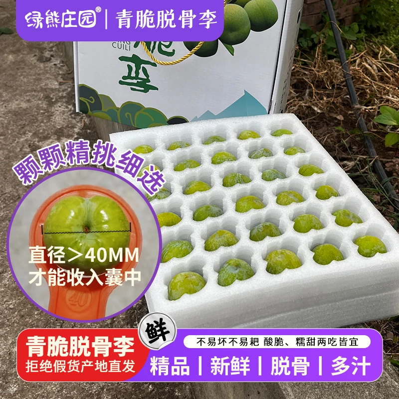 重庆脱骨青脆李子高山光照足应季晚熟脆甜多汁核小肉厚礼盒青李子