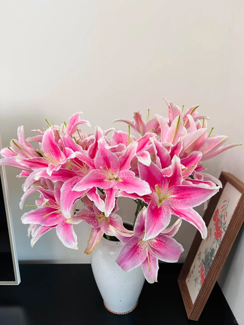 【索尔邦百合】-云南基地直发鲜花百合香水百合