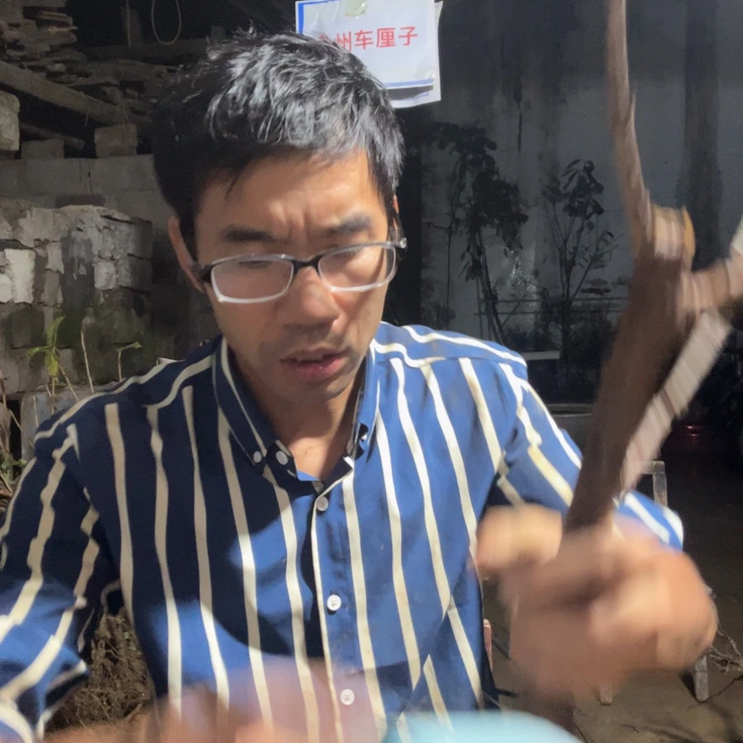 当前无花栽培后可以开花315
