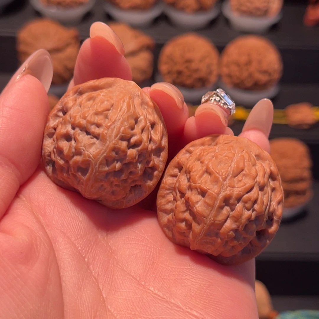 A***山莲花31，全品，货头