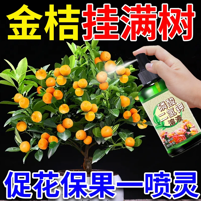 金桔盆栽专用肥年桔营养液促开花防黄叶落果磷酸二氢钾有机复合肥