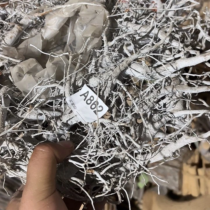 崔***筝8620000000000000000