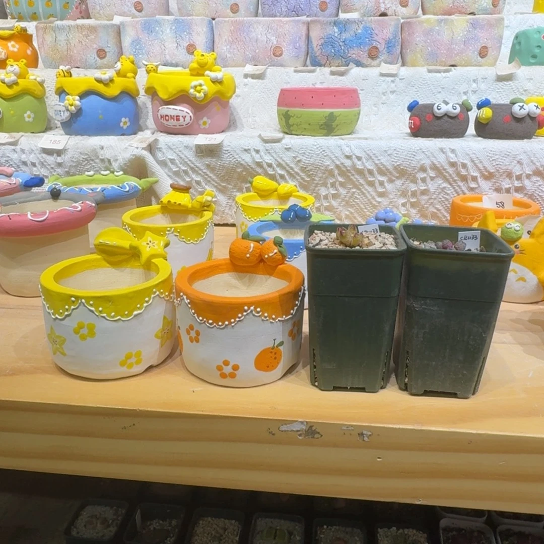 红陶九**月 0221-46盆盆盆
