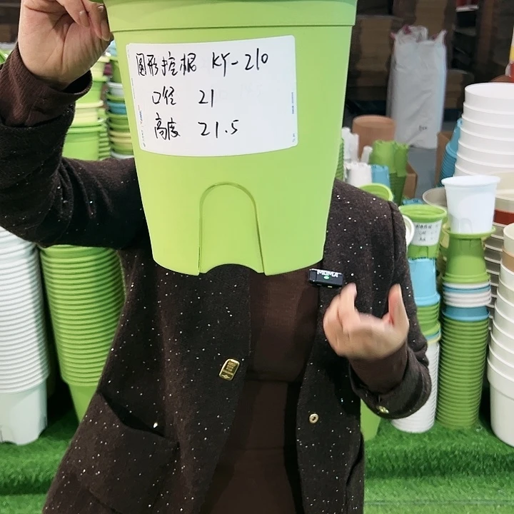 正品圆控口21高21果绿无托8只