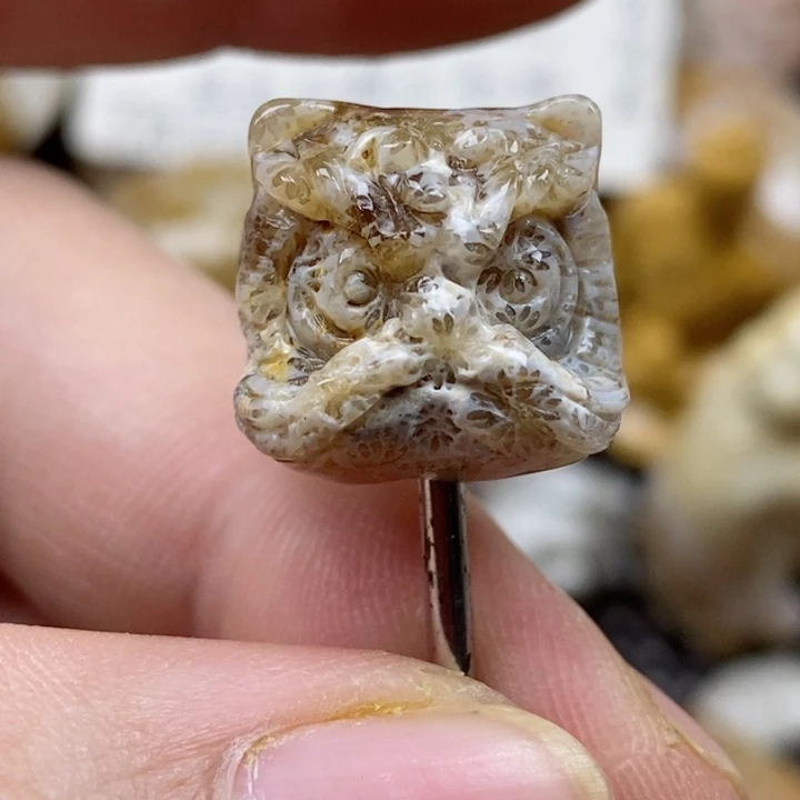 颈饰未镶嵌硅化珊瑚（珊瑚玉）有瑕