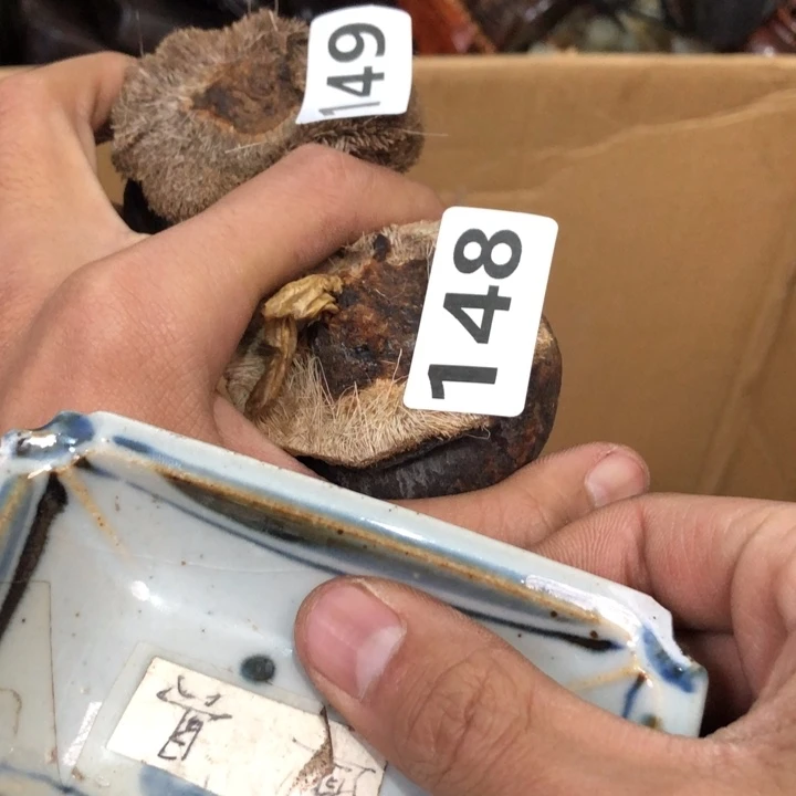 陶瓷孤品单件车里拍酒***醉