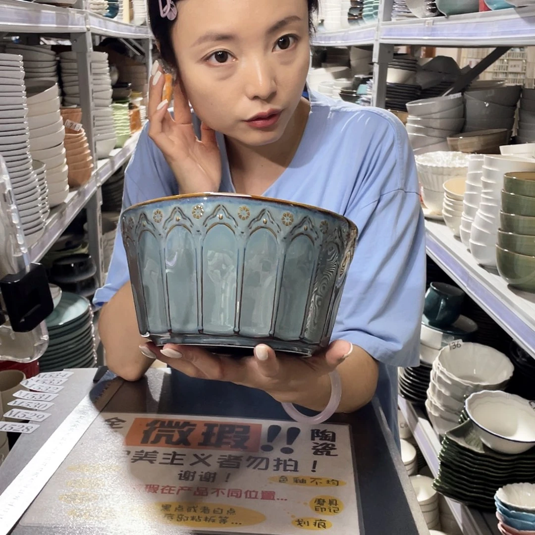 瓷片528           1个