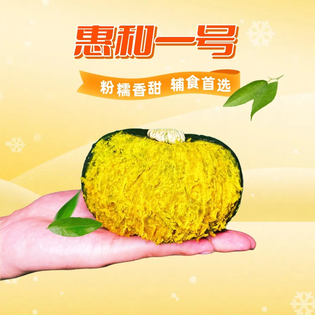 惠和一号贝贝南瓜【板栗红薯合体】粉糯干甜不噎喉·代餐辅食神器