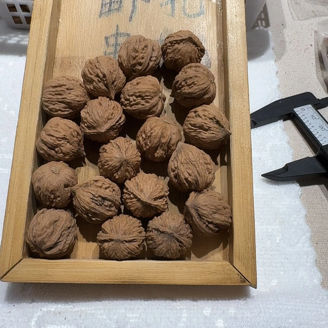 核桃手串/手链52号边22肚20高21