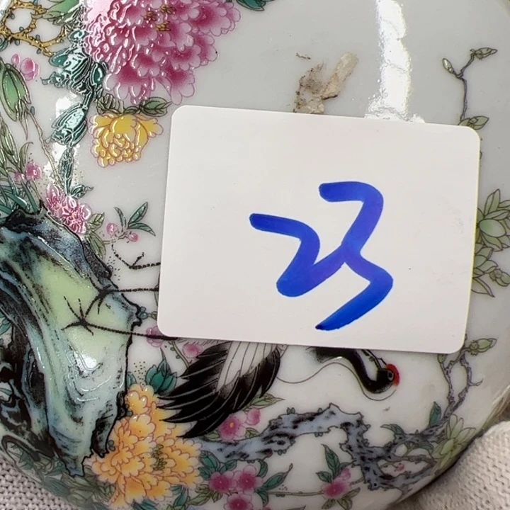 美***美茶宠今天晚上吃什么呢23