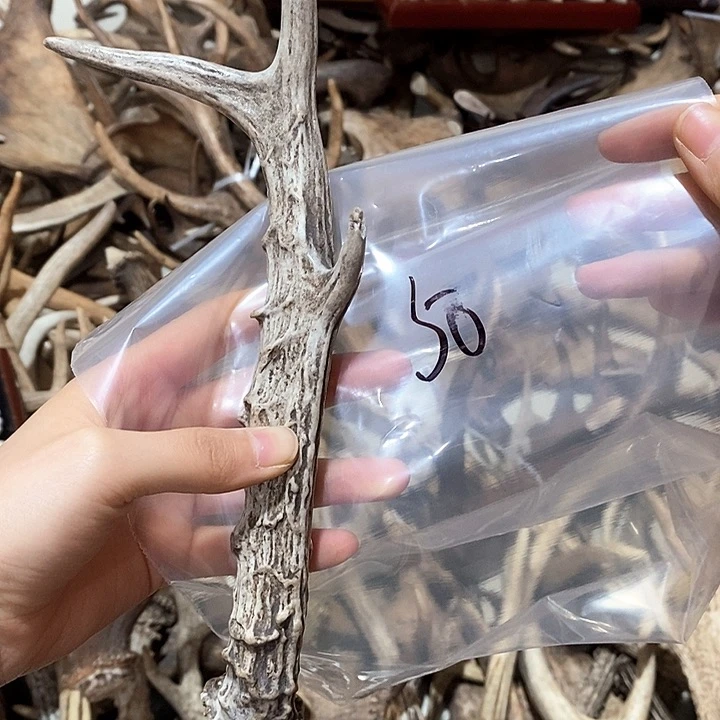 鹿角鹿角鹿角鹿角