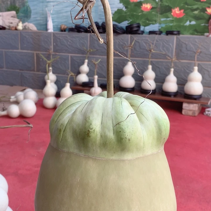 H***、中号尺寸的尺寸大小