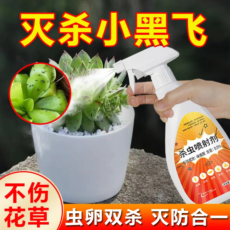 专杀花盆小黑飞花卉杀虫剂家用灭除杀小飞虫的神器养花土壤专用药