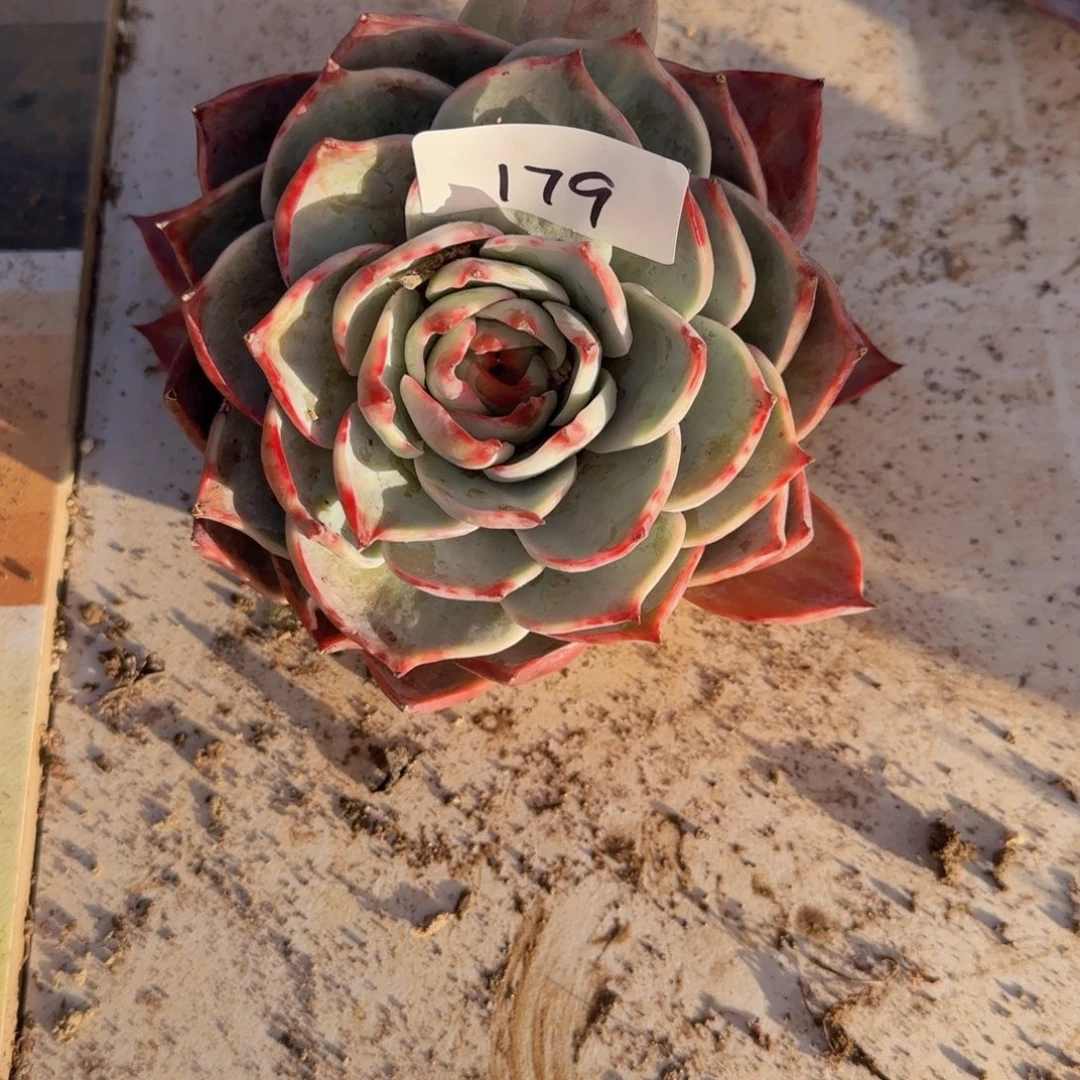 179