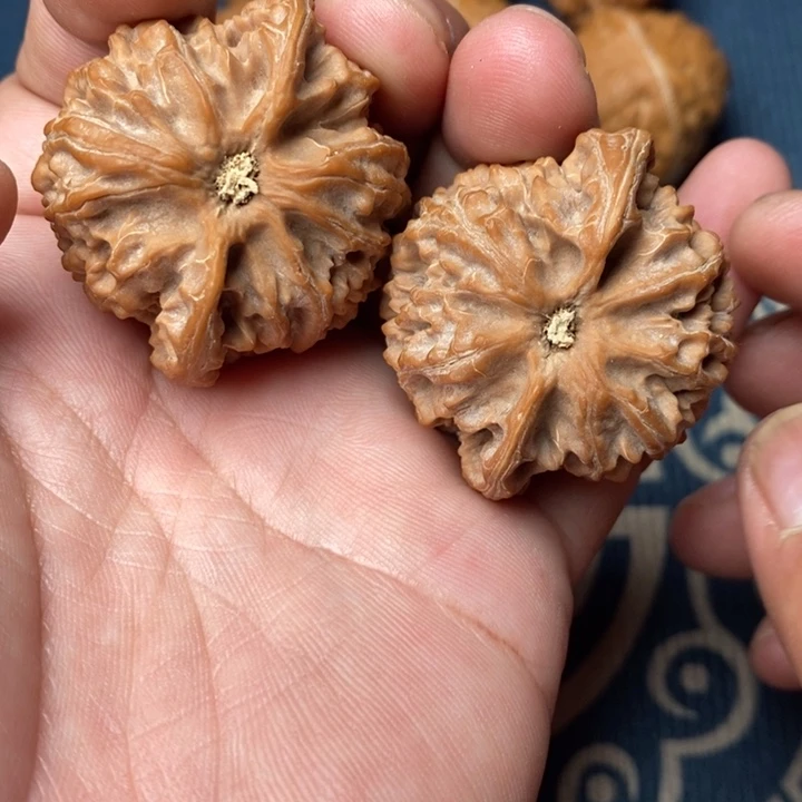 文玩核桃把件全品苹果园43尺寸