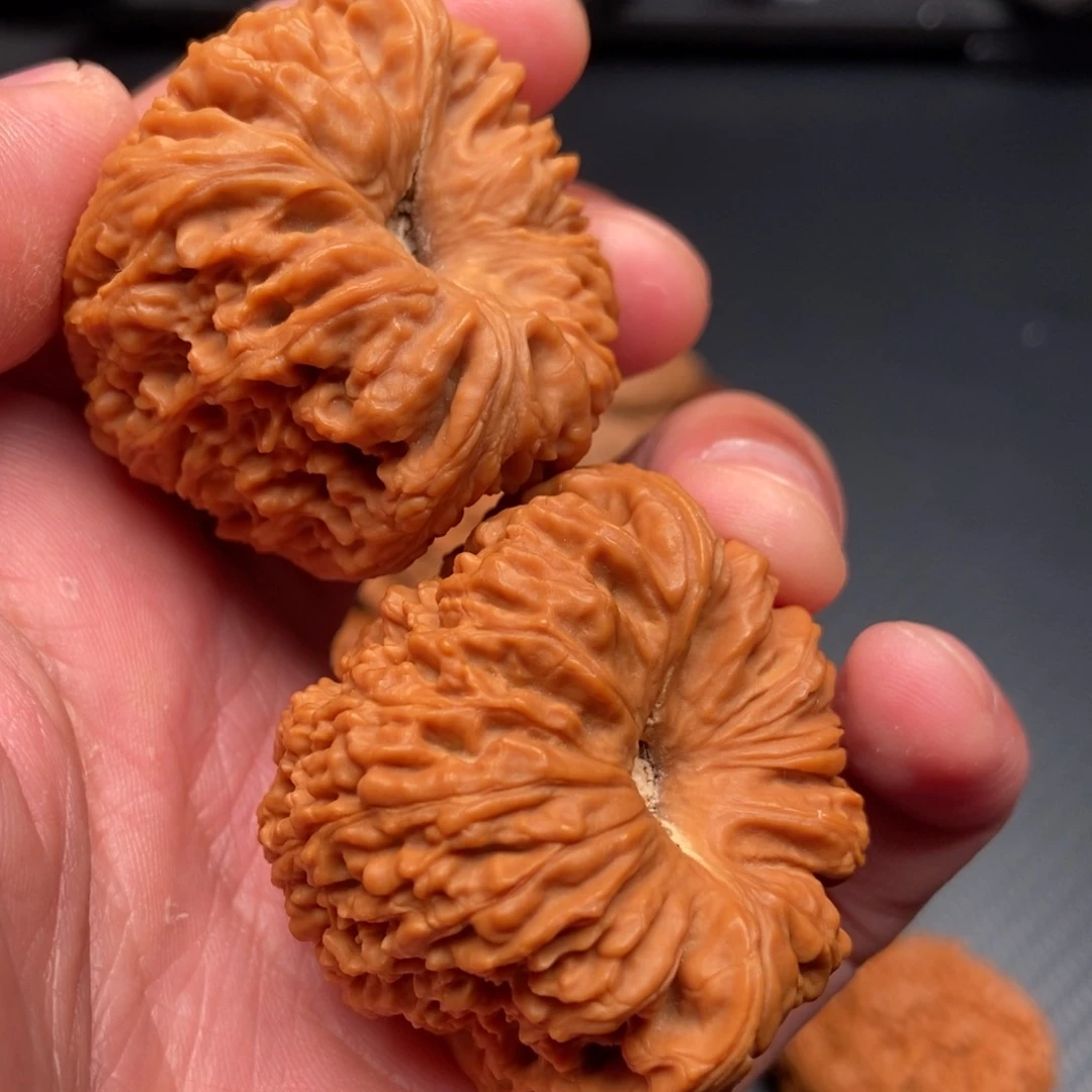 天花板南江全品尺寸43